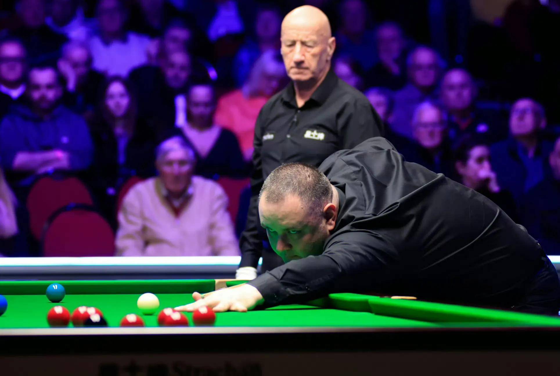 人民日报的 人民日报的