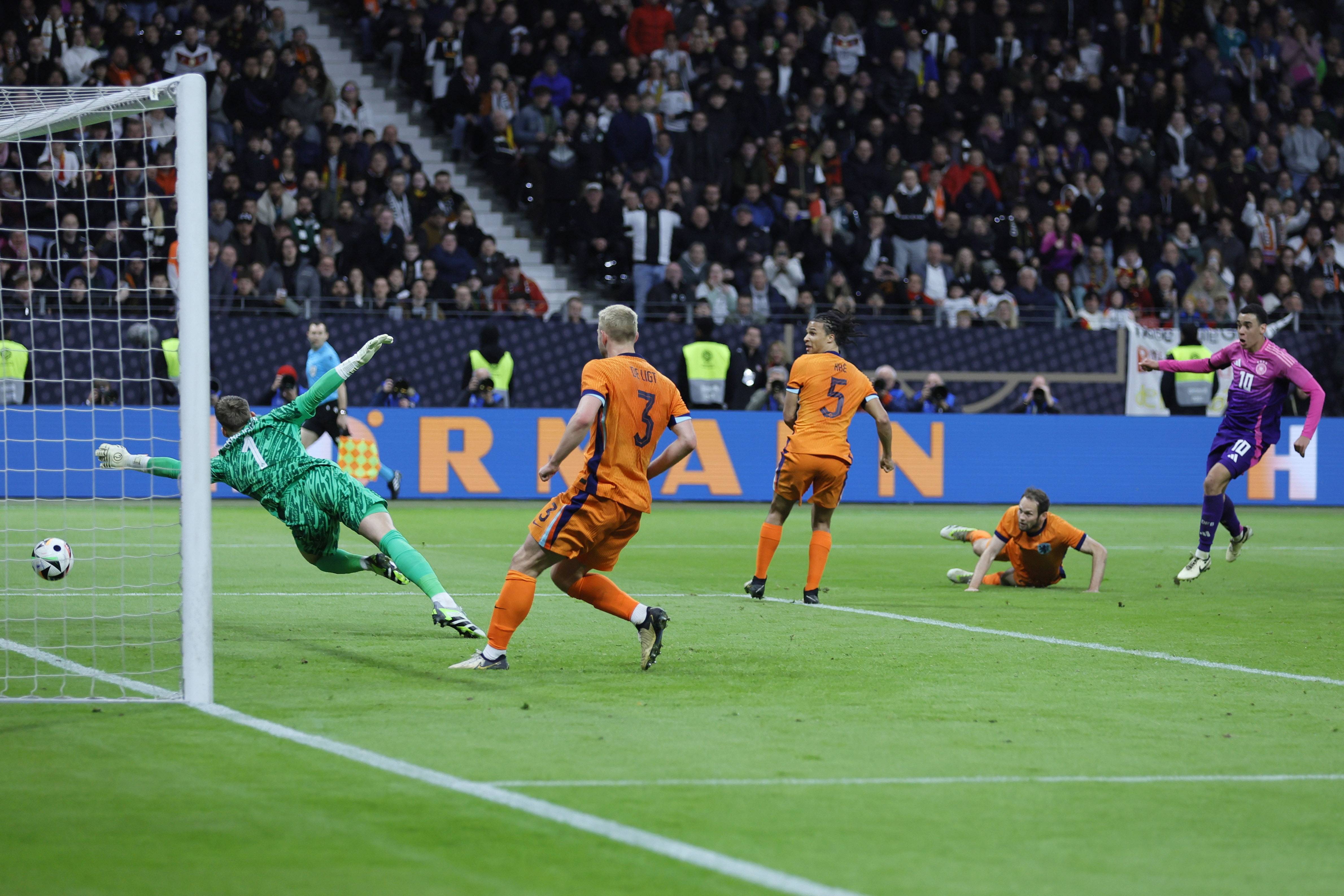 球迷和分析 球迷和分析