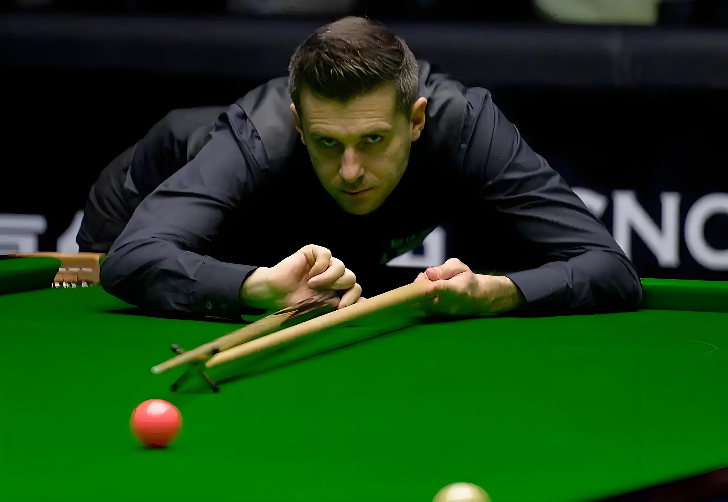 向裁判团队 向裁判团队